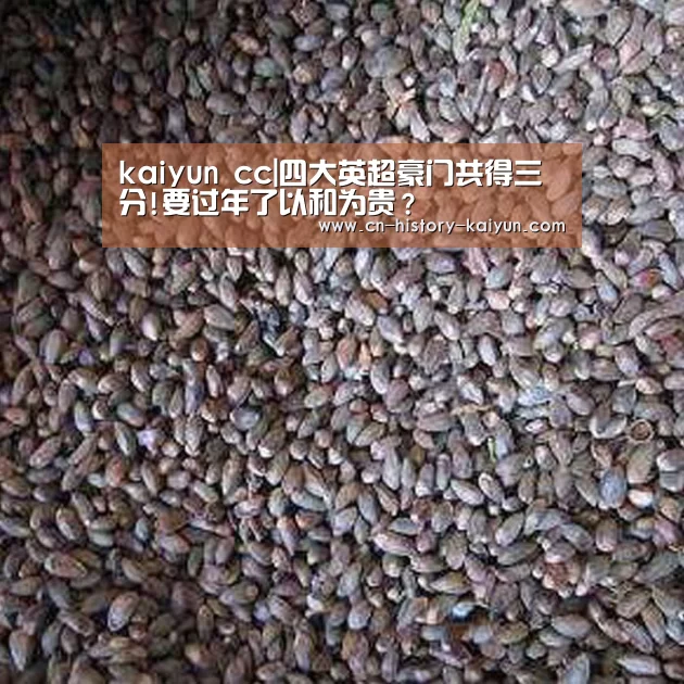 kaiyun cc|四大英超豪门共得三分!要过年了以和为贵?(图2) kaiyun官网