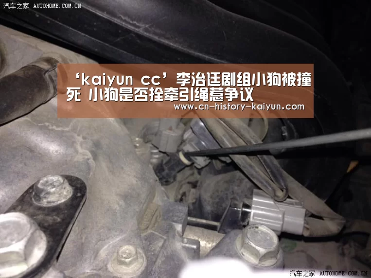 kaiyun官方网站